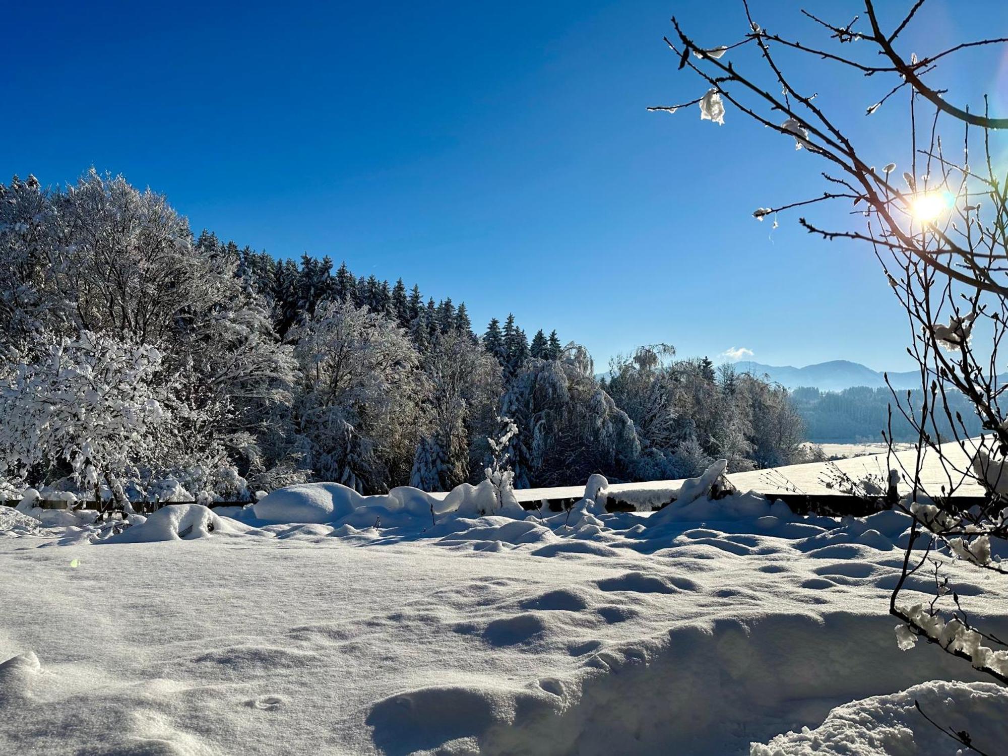 Niedersonthofen Landsitz Rocky Docky 빌라 외부 사진